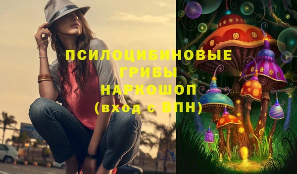 2c-b Медвежьегорск