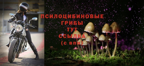 2c-b Медвежьегорск